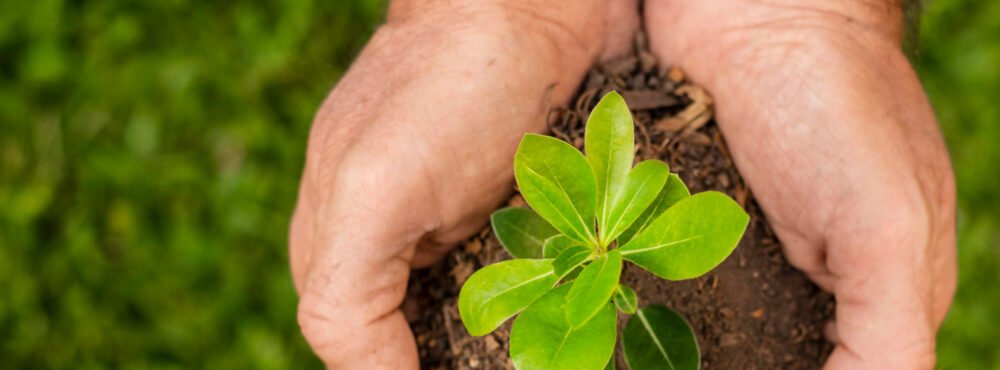 giovannibattista.franciosa@gmail.com